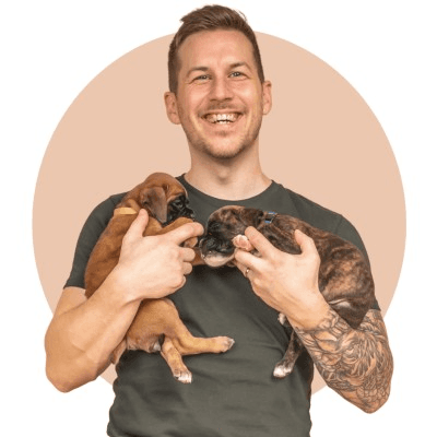 From Side Hustle to Success Story: How One Dog Lover Built and Sold BigPawShop